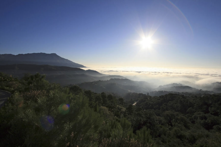 La Zagaleta view